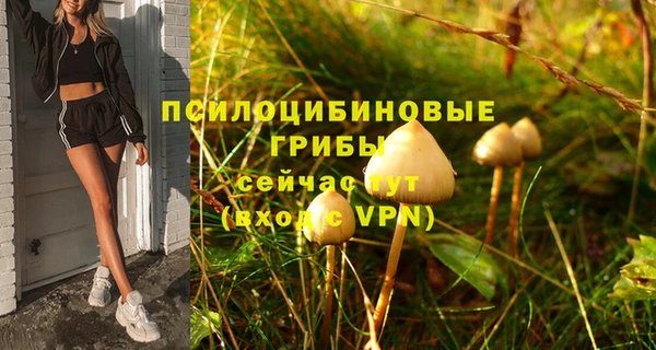 прущая мука Медвежьегорск
