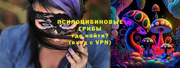 прущая мука Медвежьегорск